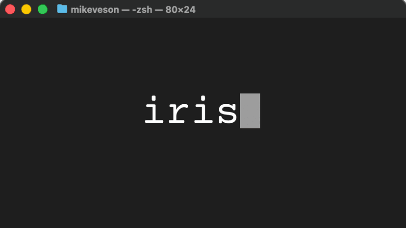 Iris Vault